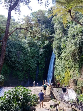 Батурити: Bedugul Camping