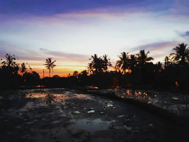 Убуд: Toya Villa Ubud