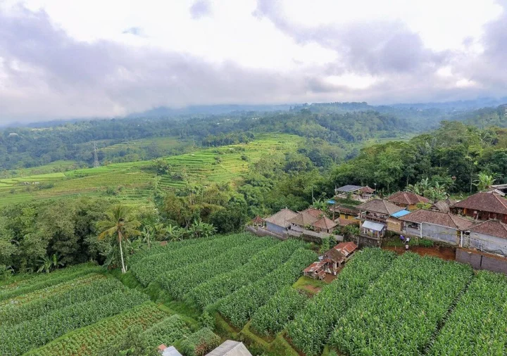 Батурити: Pondok Nyoman Bedugul