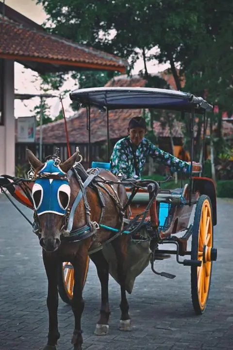 Боробудур: Borobudur Bed & Breakfast - Hostel