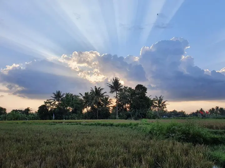Боробудур: Borobudur Bed & Breakfast - Hostel