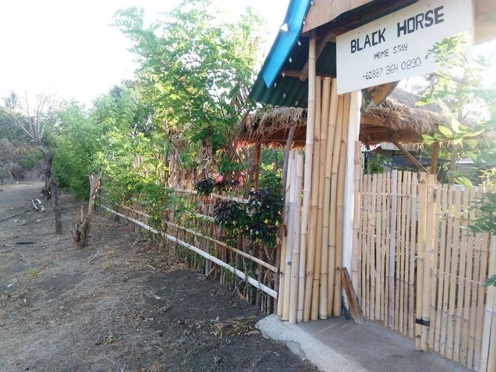 Гили-Мено: Black Horse Meno