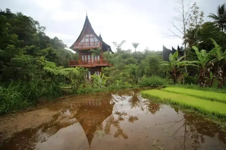 Букиттинги: Padi Ecolodge
