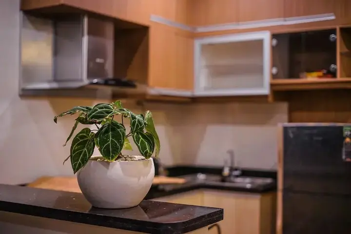 Пекату: The Ocean Views Luxury Villas & Apartment