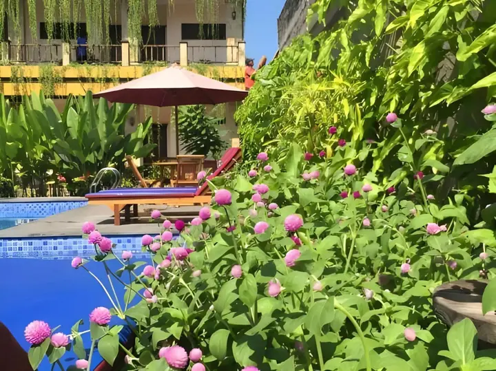 Пенида: Saka Boutique Hotel