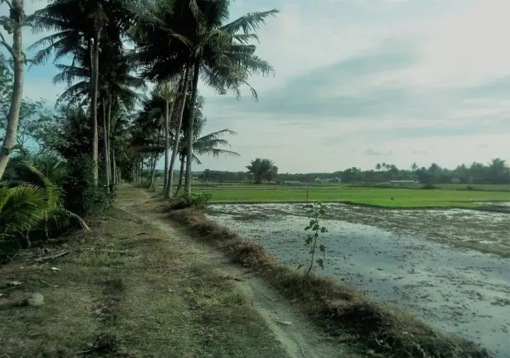 Батуретно: Villa Kenzie Yogyakarta