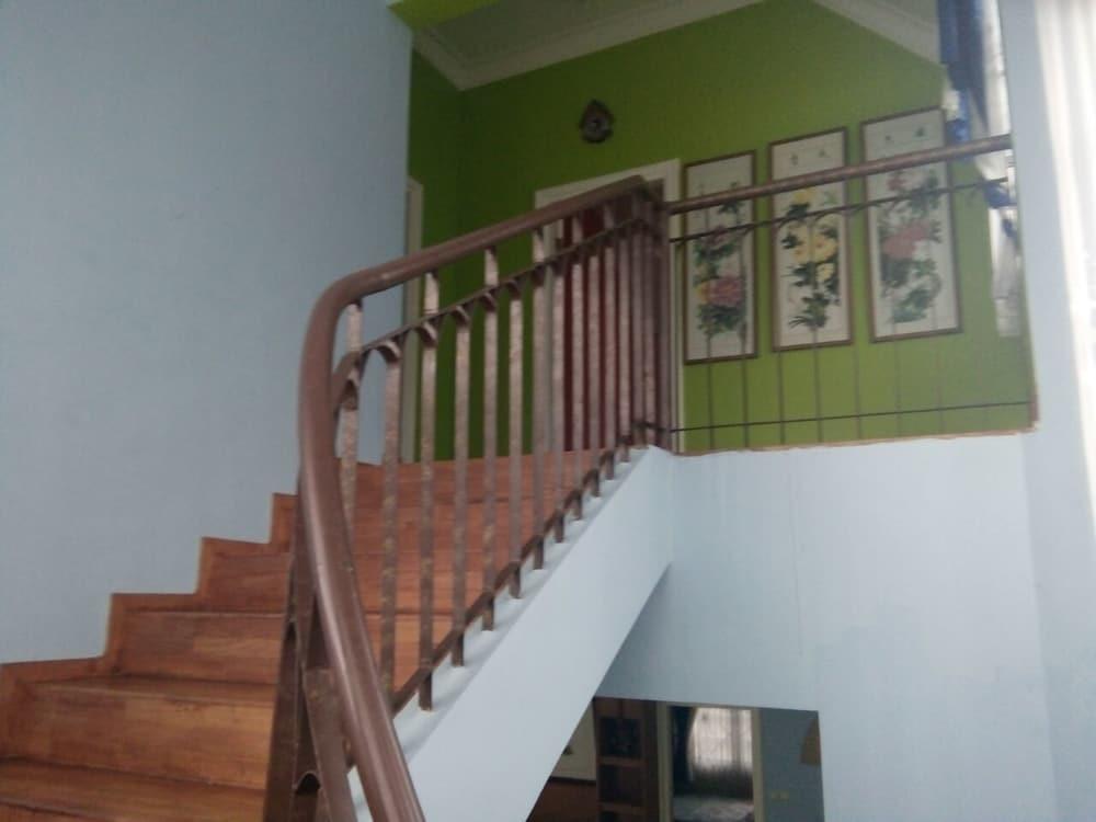 Чипанас: Kota Bunga D