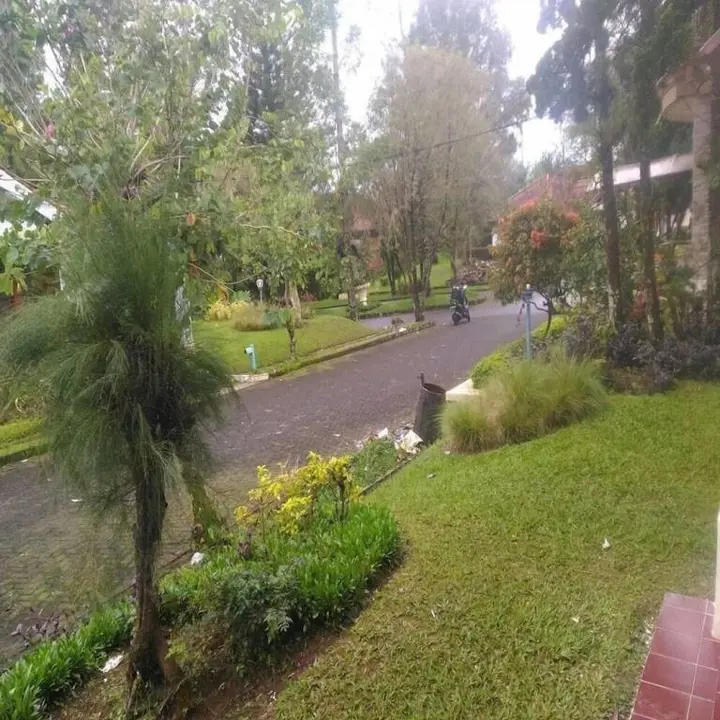 Чипанас: Kota Bunga D