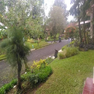 Чипанас: Kota Bunga D