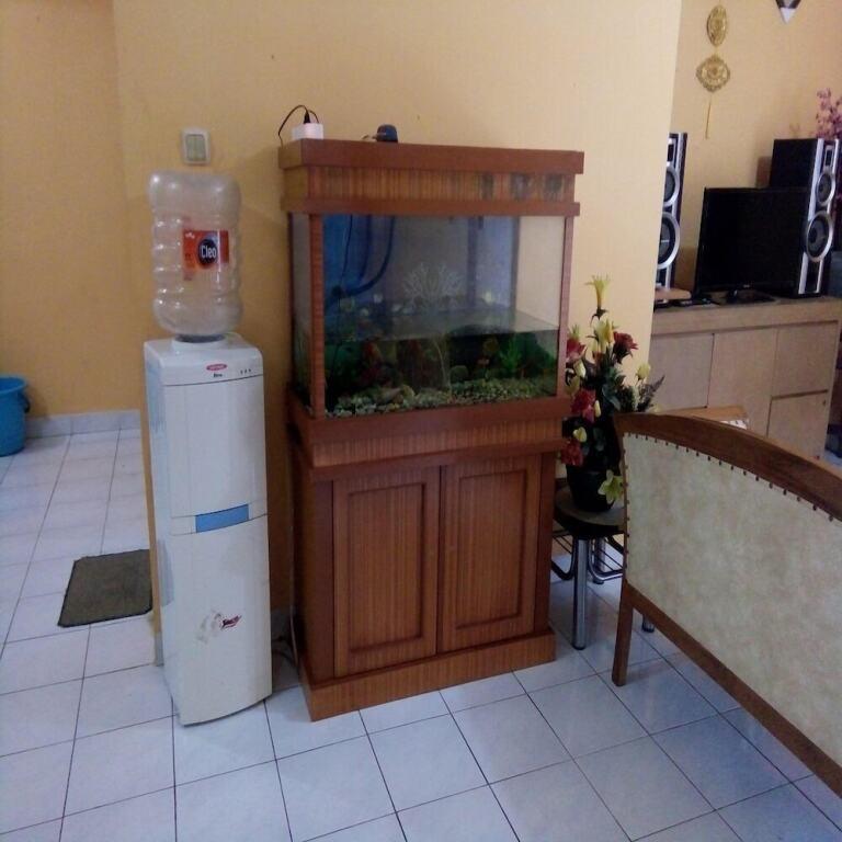Чипанас: Kota Bunga F