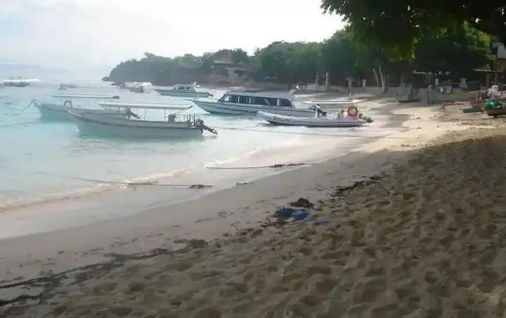 Лембонган-Айленд: Perdana Lembongan