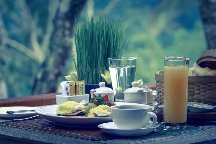 Тембок: Sunia Jungle