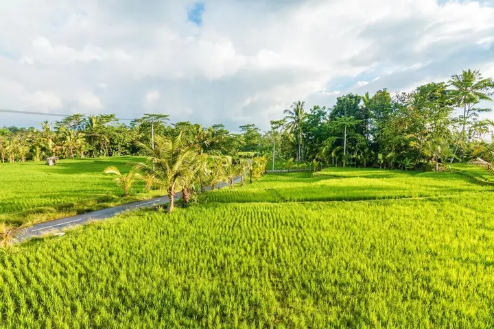Тегаллаланг: ZEN Rooms Kedisan Tegal Alang Ubud Villa