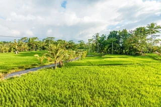 Тегаллаланг: ZEN Rooms Kedisan Tegal Alang Ubud Villa