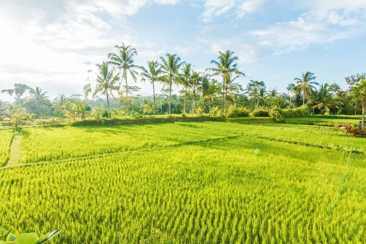Тегаллаланг: ZEN Rooms Kedisan Tegal Alang Ubud Villa