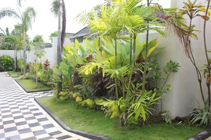 Сукасада: The Kayuputih