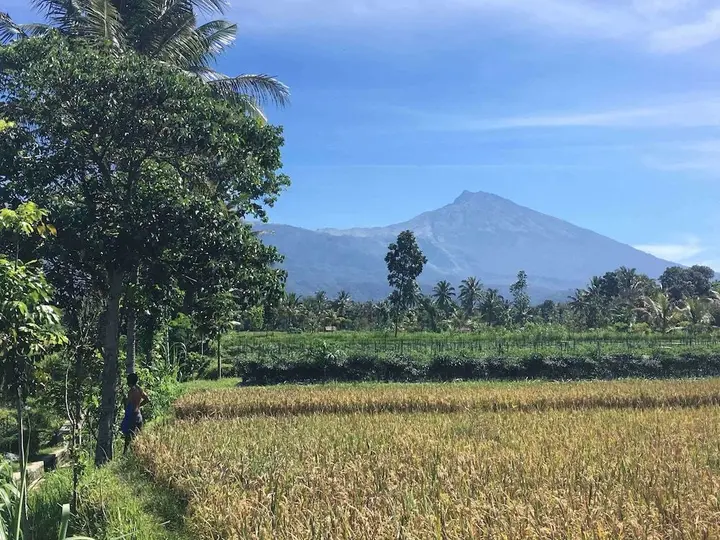 Прайя: Cahaya Tetebatu Inn