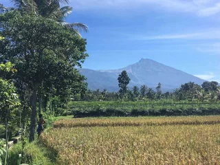Прайя: Cahaya Tetebatu Inn
