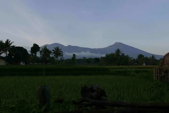 Прайя: Cahaya Tetebatu Inn