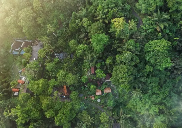 Себату: Bali Jungle Resort