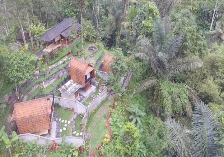 Себату: Bali Jungle Resort