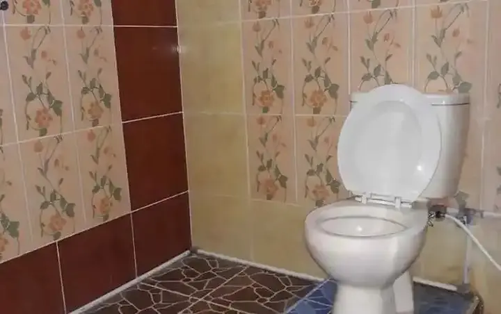 Гили Траванган: Cozy Corner