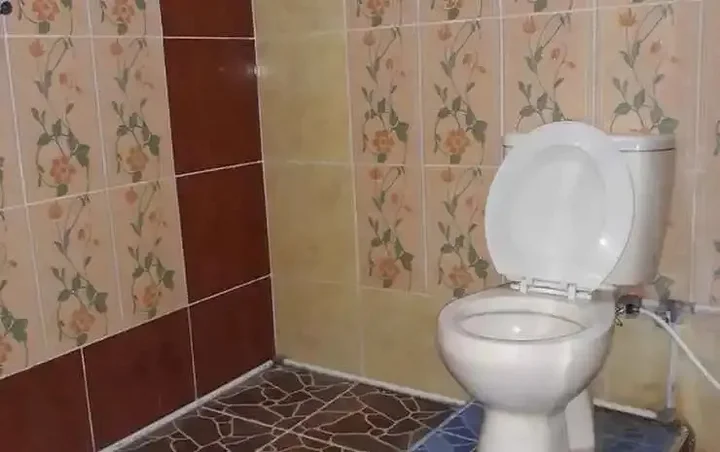 Гили Траванган: Cozy Corner