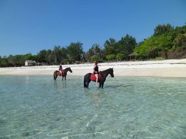 Гили Траванган: Gili Tenda Resort