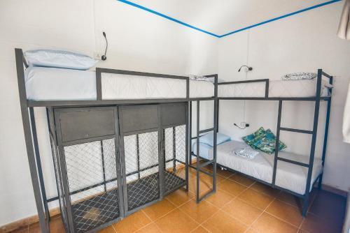 Гили Траванган: Dpm Gili T Diving Hostel & Bar
