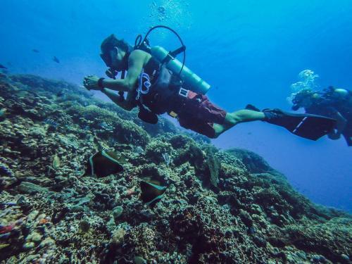 Гили Траванган: Dpm Gili T Diving Hostel & Bar