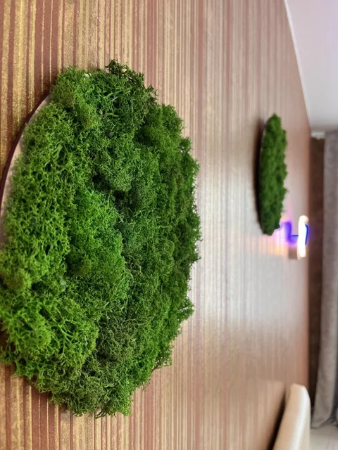 Саратов: Апартаменты Green House Lunnaya