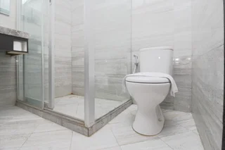 Палу: Airy Cumi Cumi 8 Palu