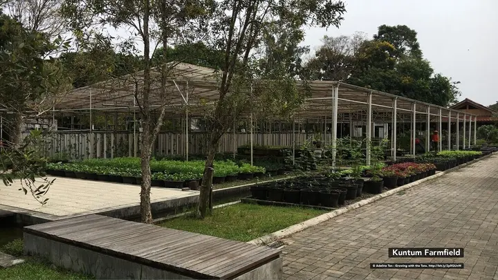 Сукарайя: Helinium Homestay Bogor