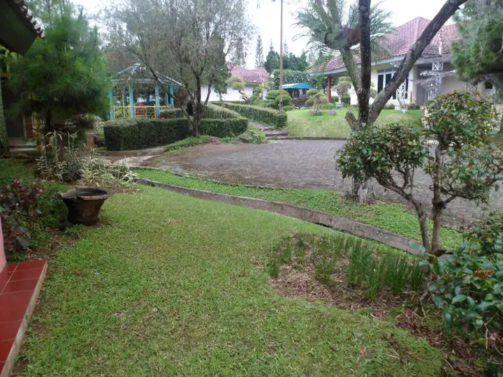 Чипанас: Villa Kota Bunga Matahari