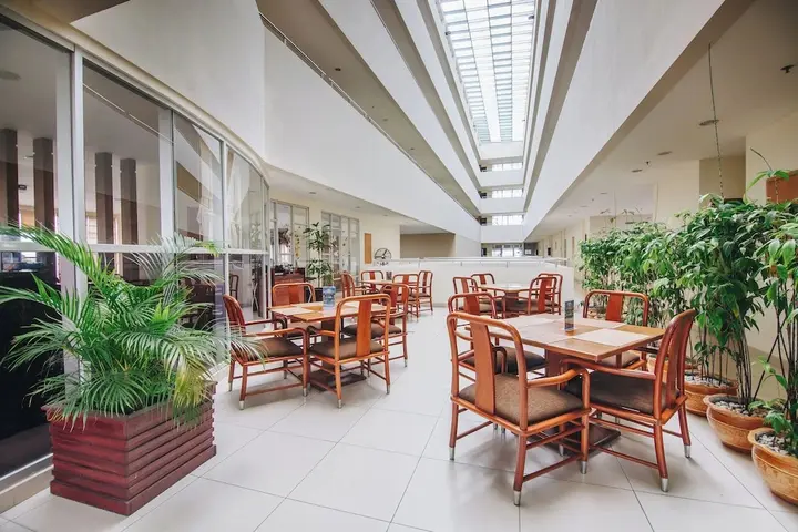 Палангкарая: Luwansa Hotel