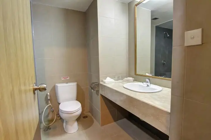 Палангкарая: Luwansa Hotel