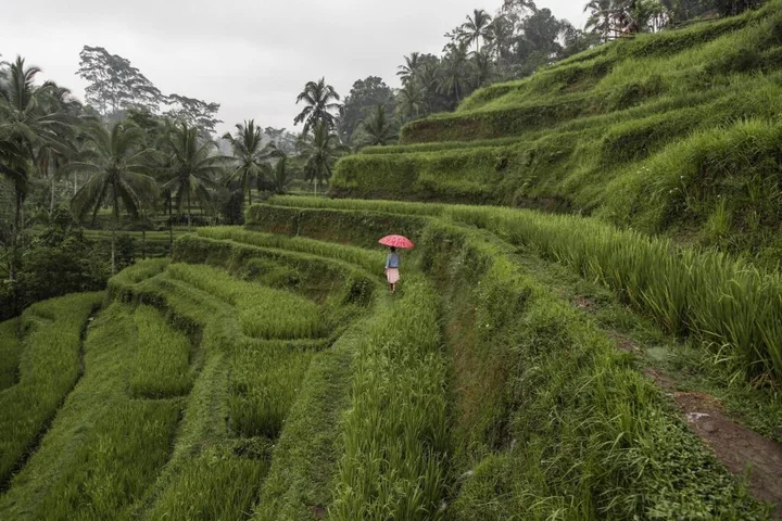 Убуд: The Westin Resort & Spa Ubud, Bali