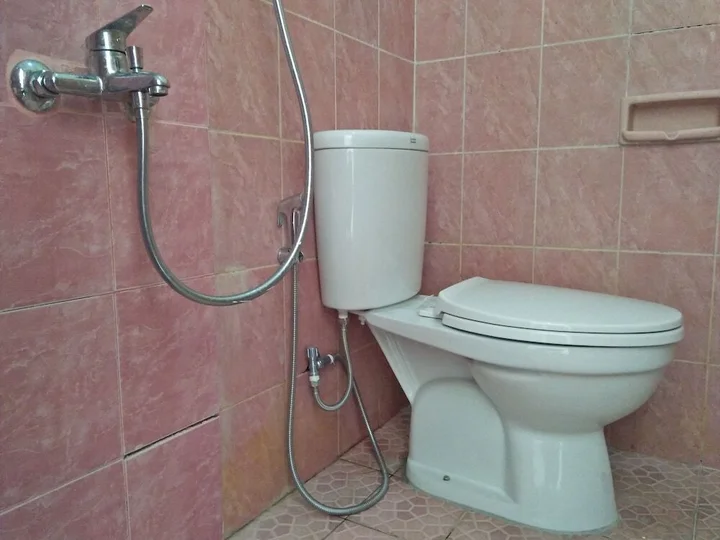 Батуретно: Puri Janti Guest House