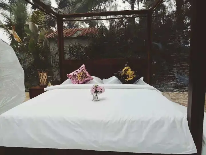 Jungle Bubble Lodge Ubud - Campsite — фото 3