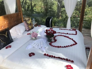 Паянган: Jungle Bubble Lodge Ubud - Campsite