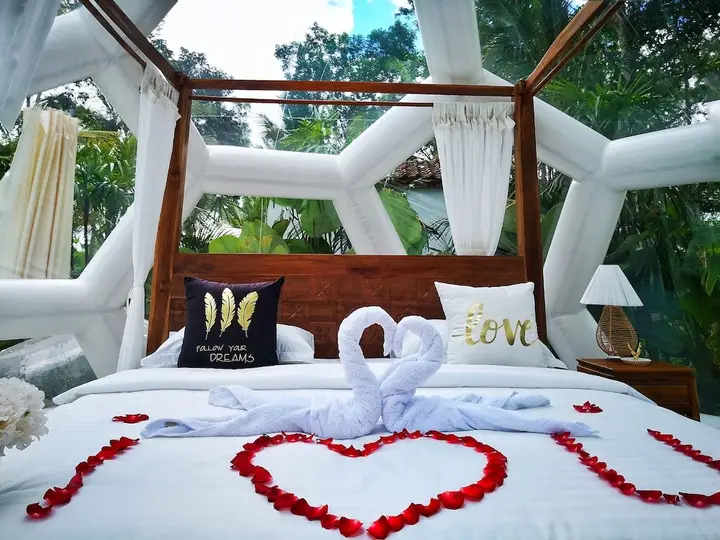 Jungle Bubble Lodge Ubud - Campsite — фото 4