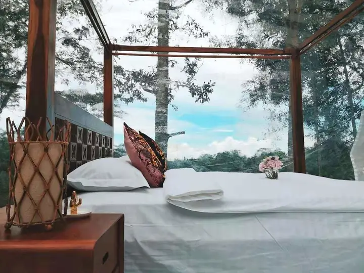 Jungle Bubble Lodge Ubud - Campsite — фото 2