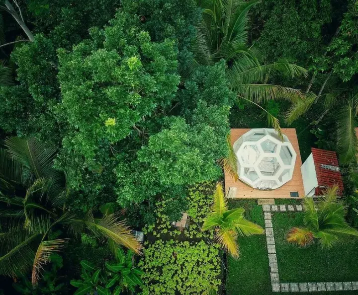 Паянган: Jungle Bubble Lodge Ubud - Campsite