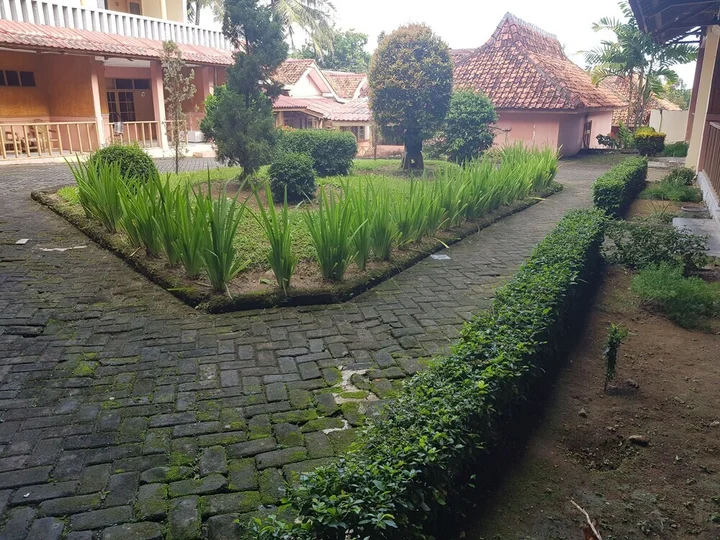 Сисолок: Hotel Pantai Mutiara