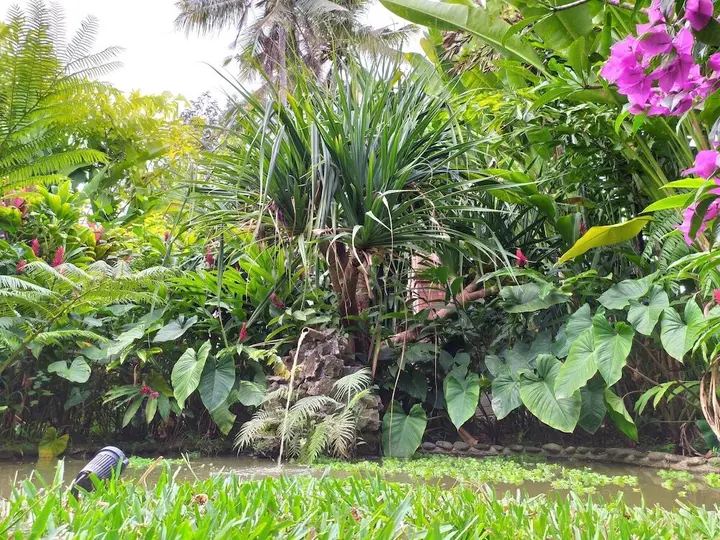 Убуд: Gopala Villa Ubud