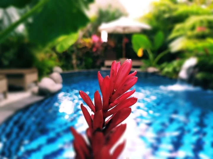 Убуд: Gopala Villa Ubud
