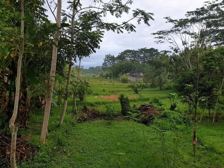 Убуд: Dedeane Ubud