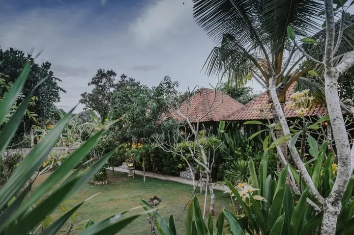 Лембонган-Айленд: Nerima Hut Lembongan