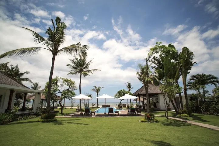 Темеси: Bougain Villa