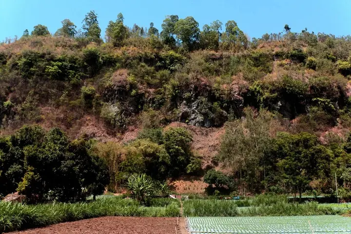 Паянган: Samsara Homestay